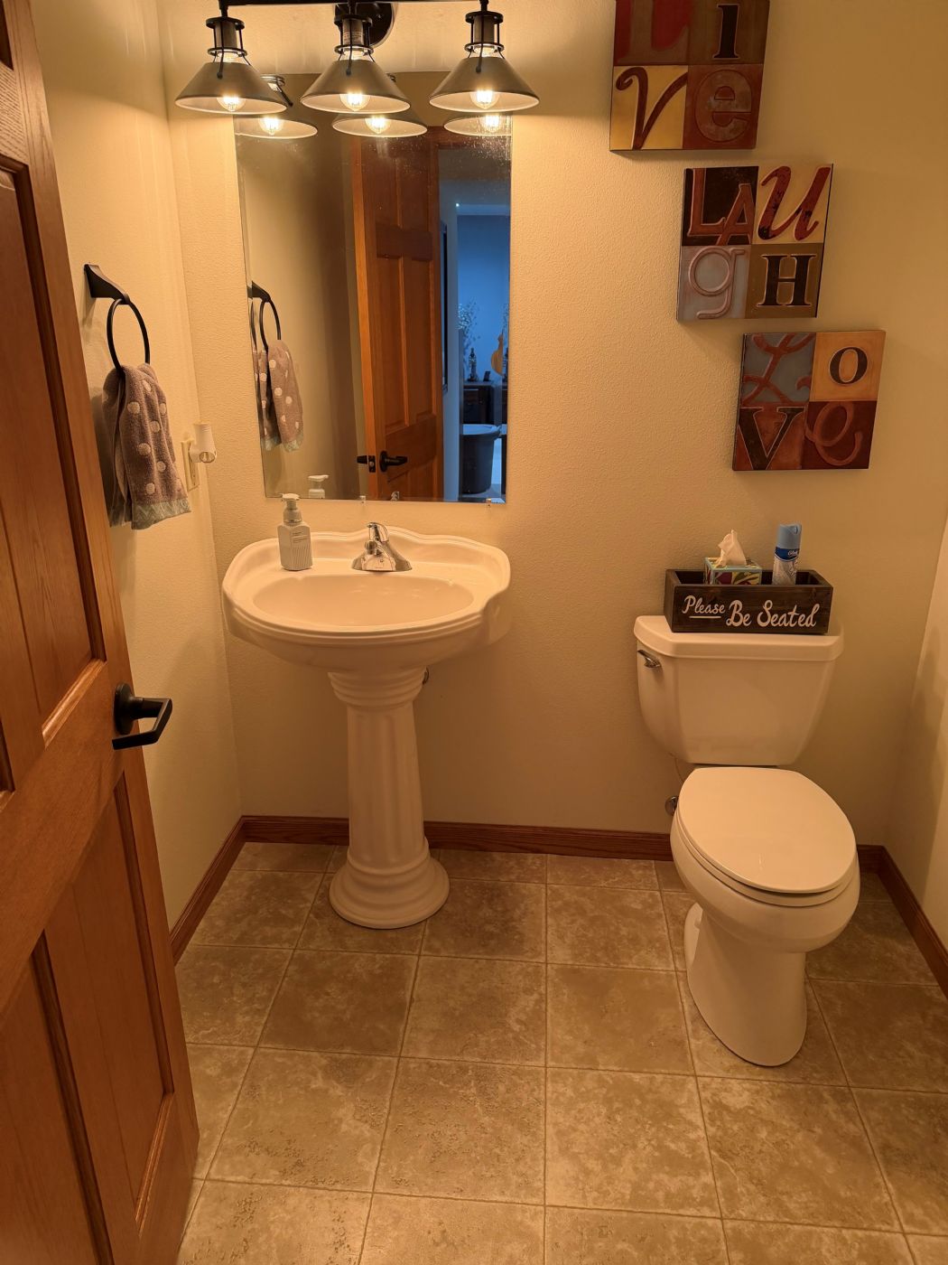 Lower Level Bathroom